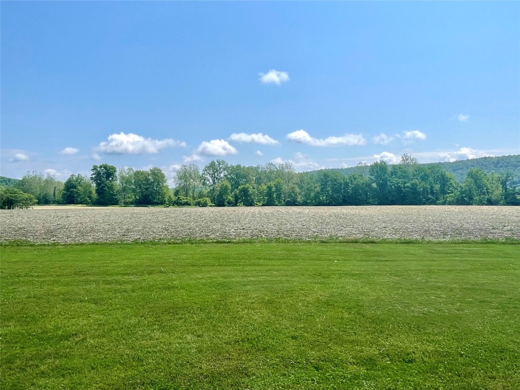 1564 Park Settlement Road, Owego, New York image 40