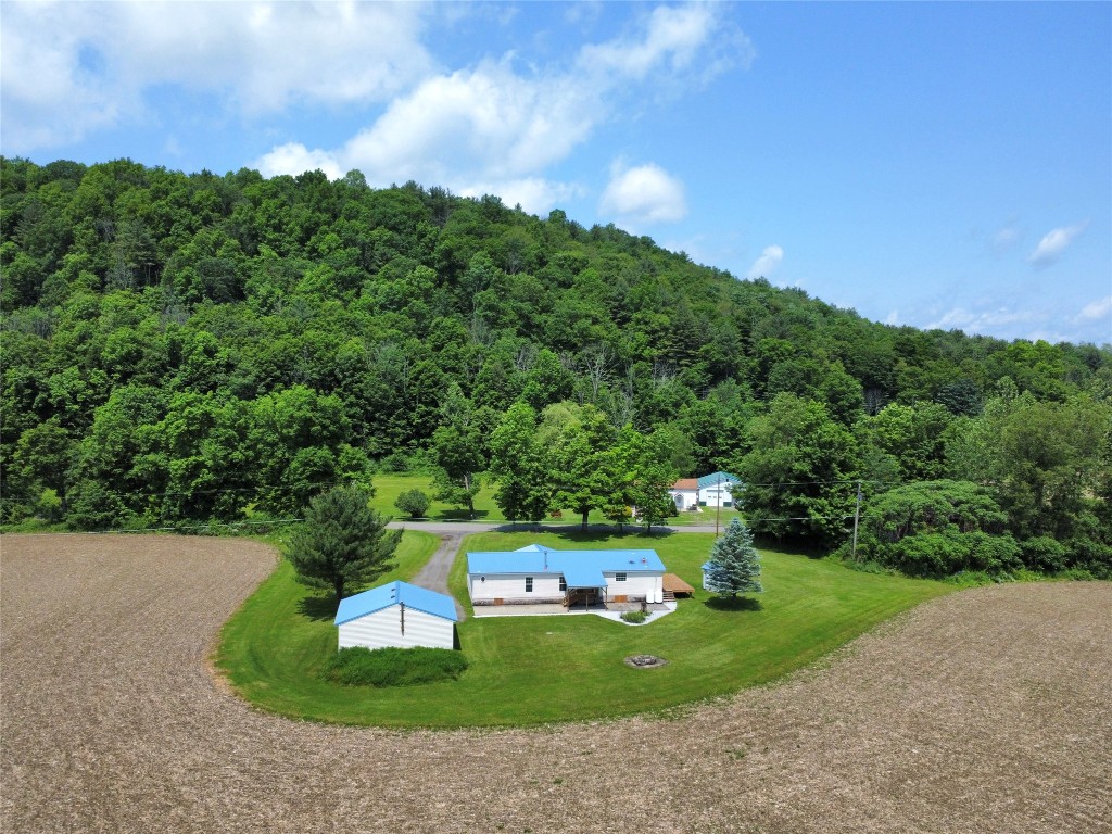 1564 Park Settlement Road, Owego, New York image 6