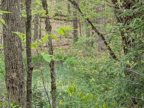 Vacant Land For Sale - 00 Union Road<br/> Candor, NY 13743