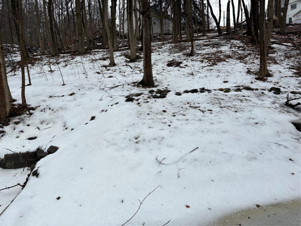 9 Bayless Avenue, Binghamton, New York image 3