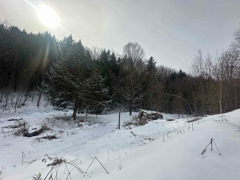 Photo for 242 Leekville Road