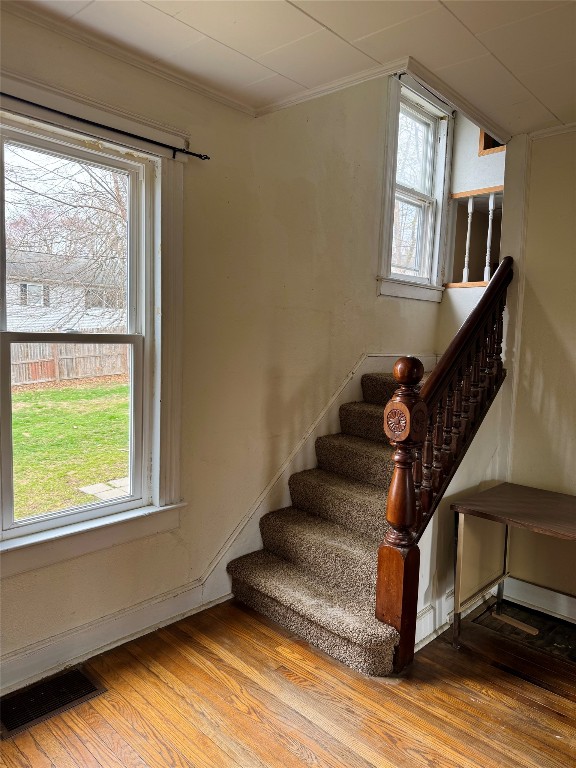 95 S Washington Street, Binghamton, New York image 12