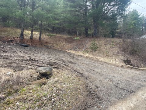 Vacant Land For Sale - 125 Old Newark Road<br/> Endicott, NY 13760