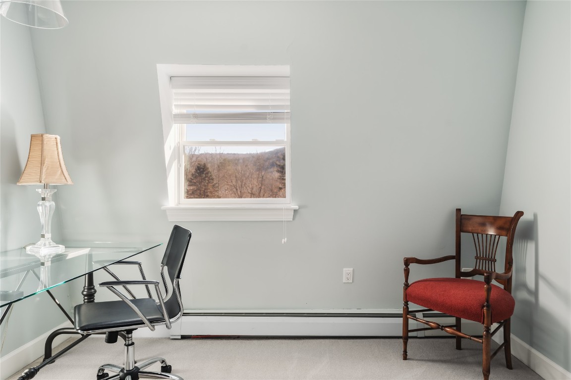 13 Riverbank Road, Vestal, New York image 34