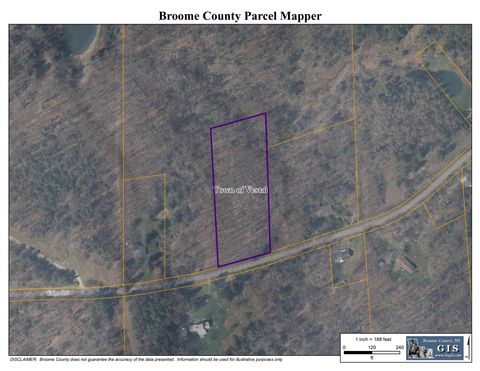 Vacant Land For Sale - 816 Echo Road<br/> Vestal, NY 13850
