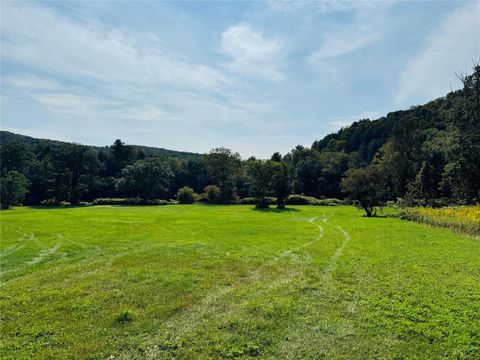 Vacant Land For Sale - 10-48 Evans Road<br/> Hancock, NY 13783