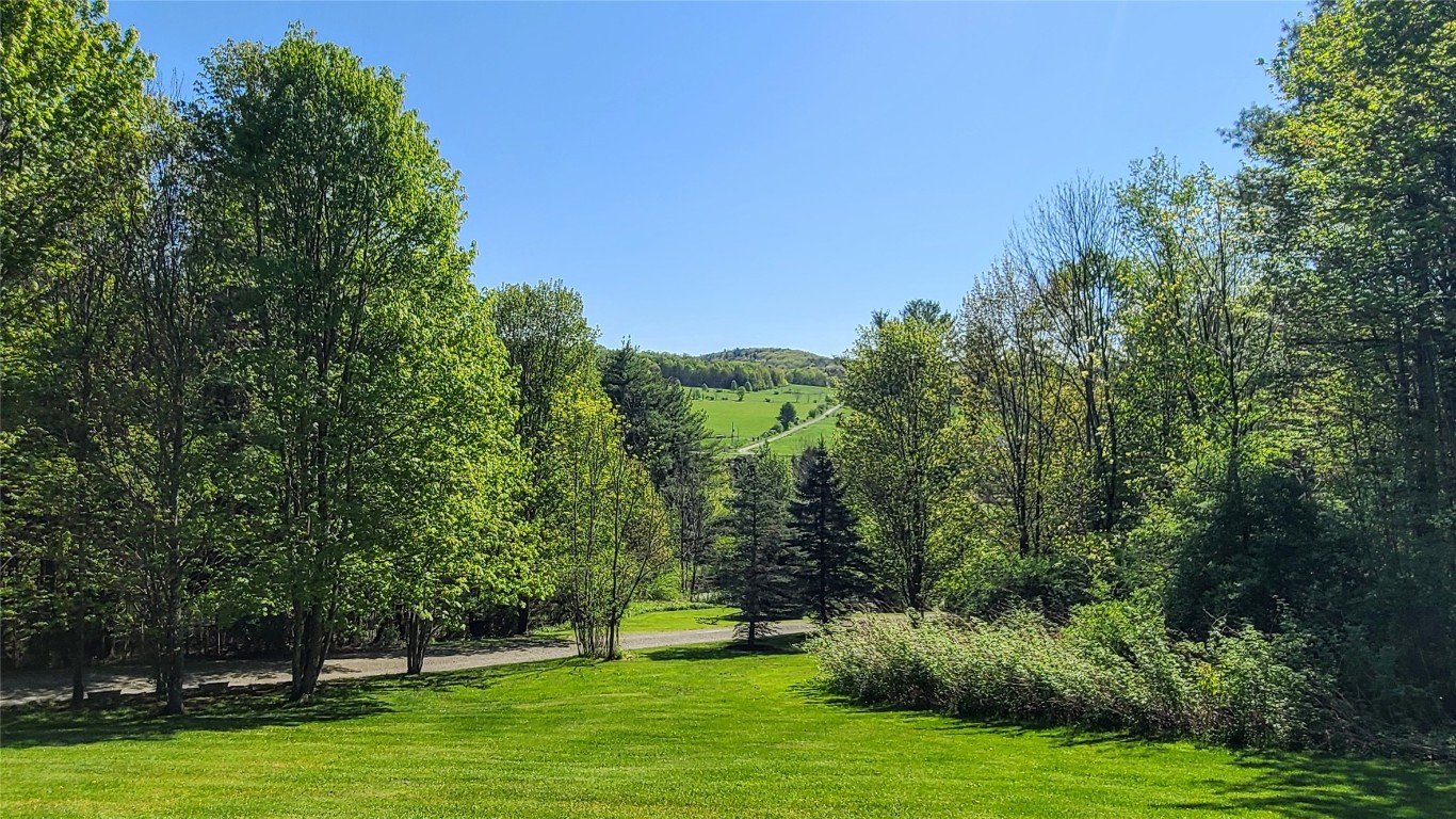 534 Lower Fairfield Road, Candor, New York image 8