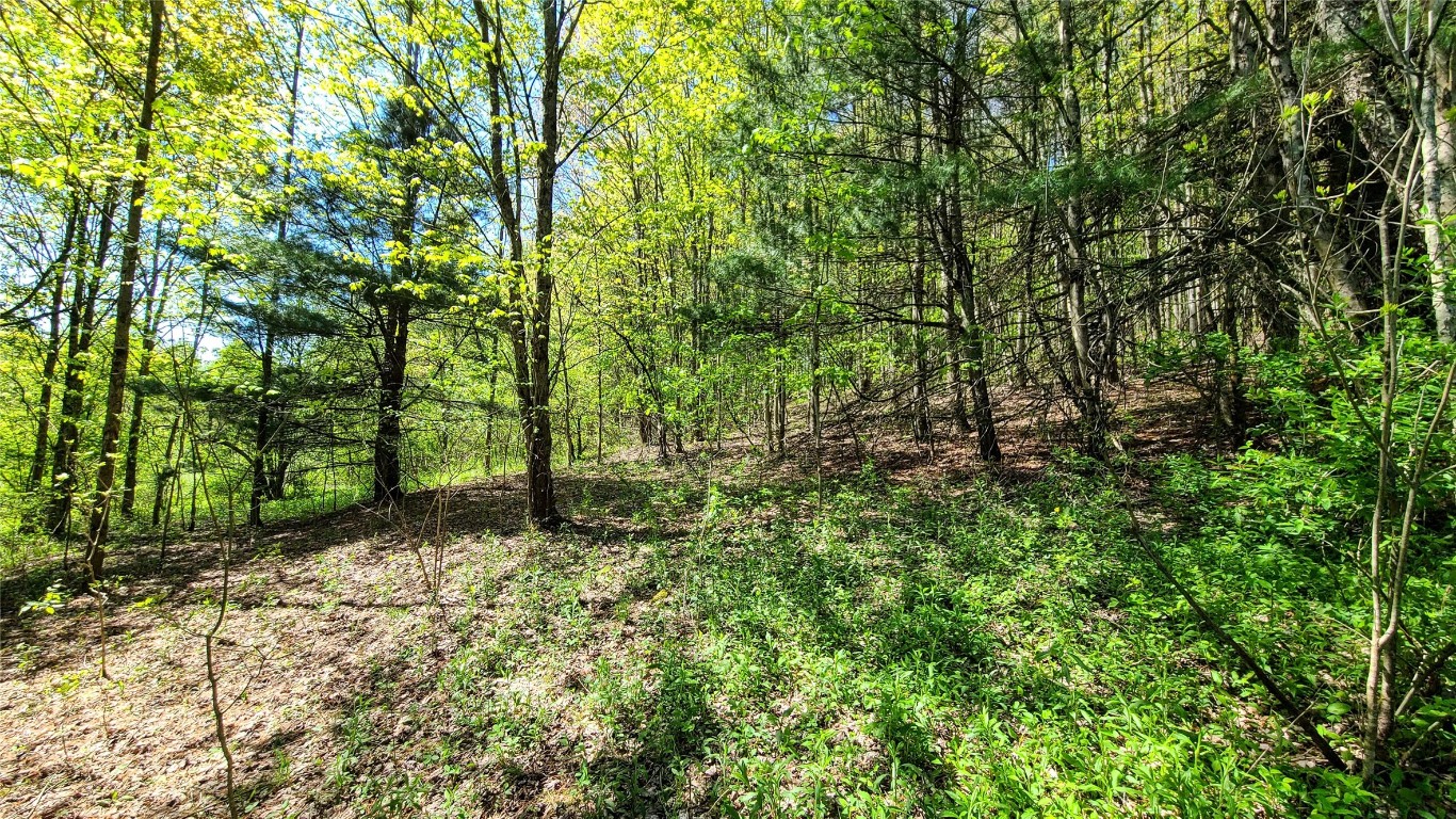 534 Lower Fairfield Road, Candor, New York image 45
