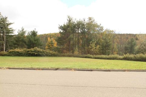 Vacant Land For Sale - 1233 LOT#10 Domenica Drive<br/> Endicott, NY 13760