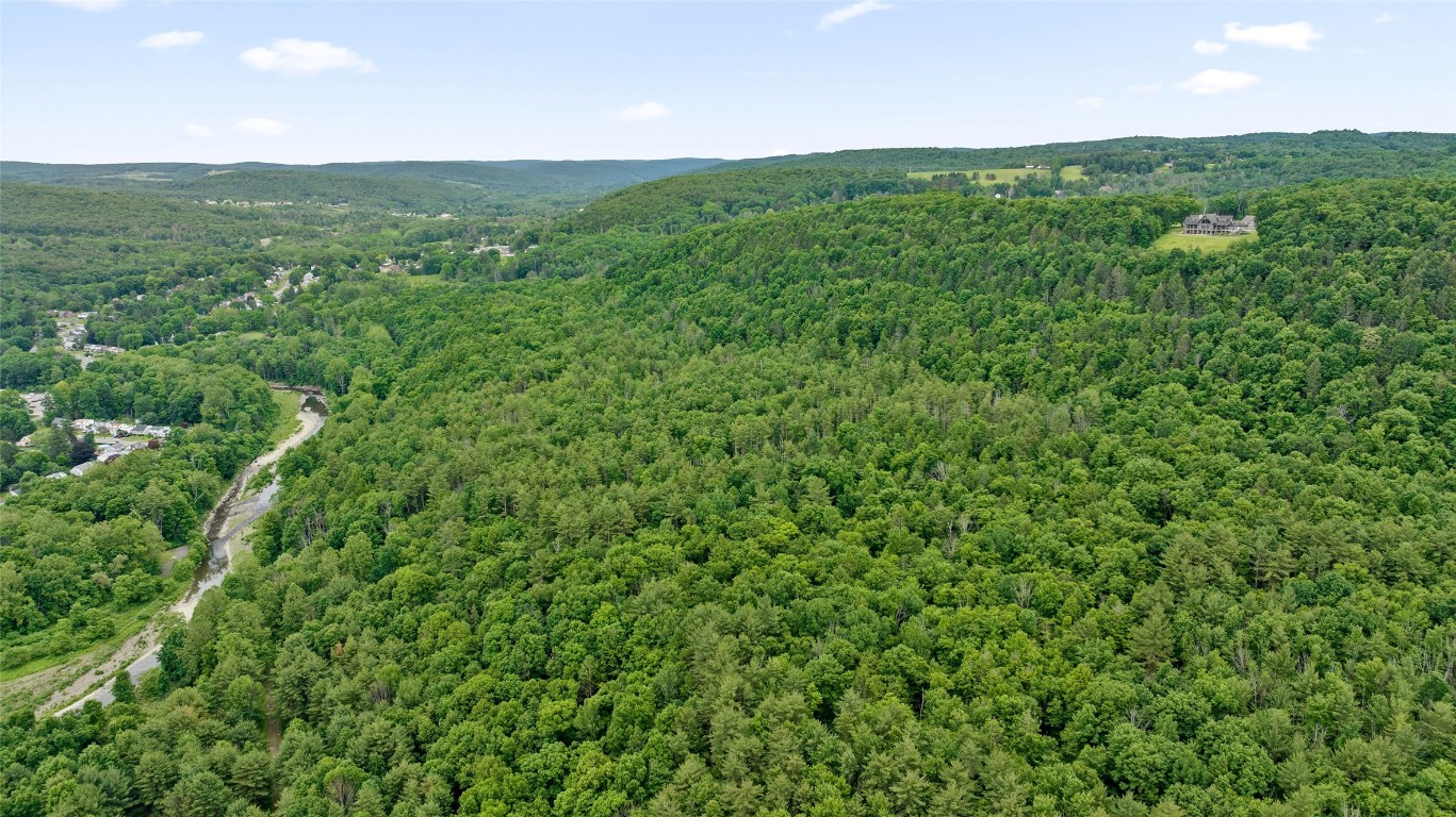 342 Echo Road, Vestal, New York image 7