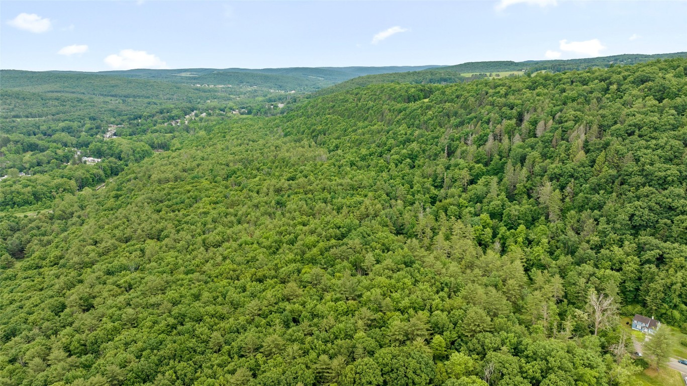 342 Echo Road, Vestal, New York image 1
