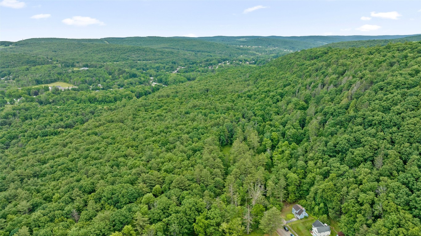 342 Echo Road, Vestal, New York image 9