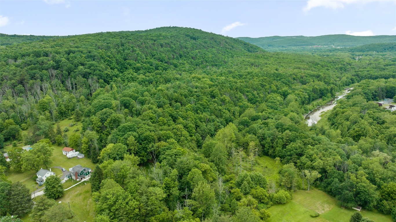 342 Echo Road, Vestal, New York image 12