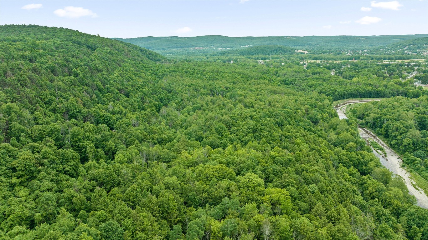 342 Echo Road, Vestal, New York image 15