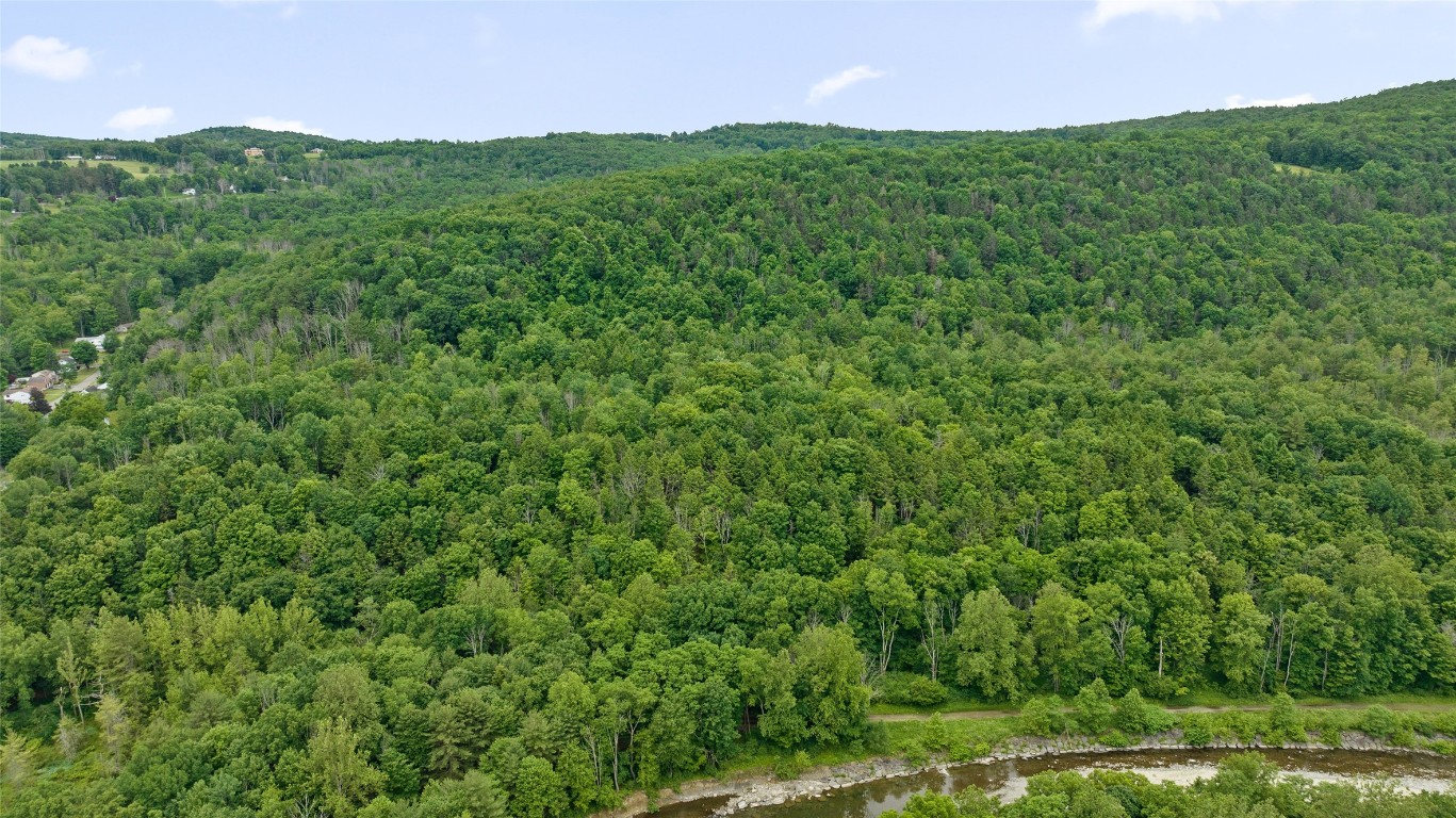 342 Echo Road, Vestal, New York image 13