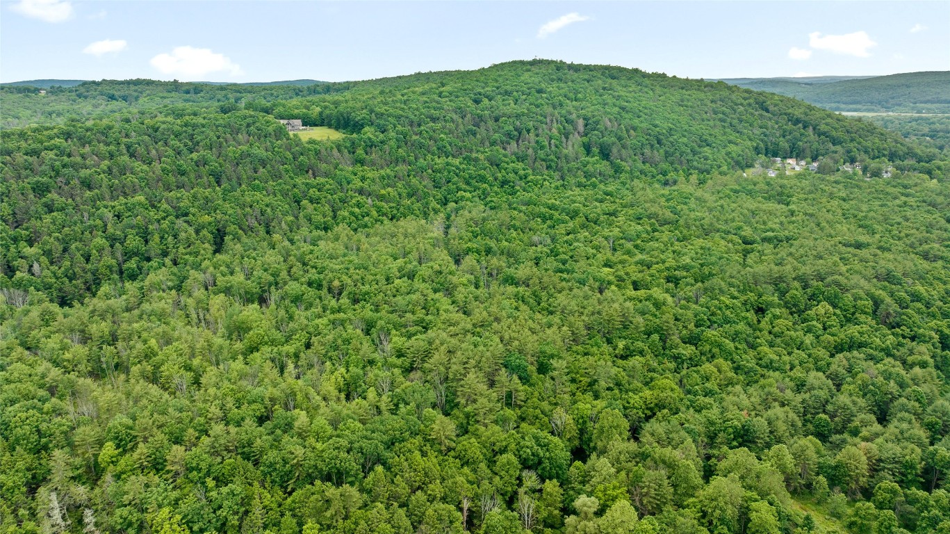342 Echo Road, Vestal, New York image 3