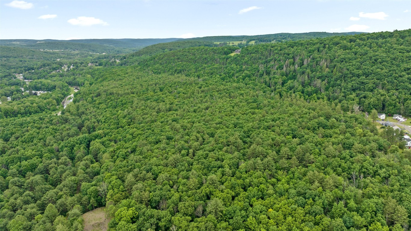 342 Echo Road, Vestal, New York image 8