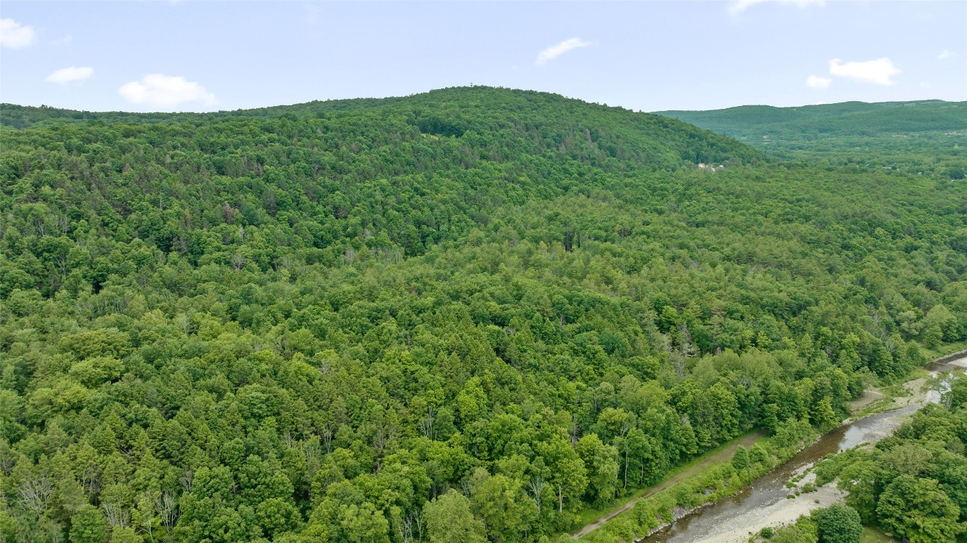342 Echo Road, Vestal, New York image 14