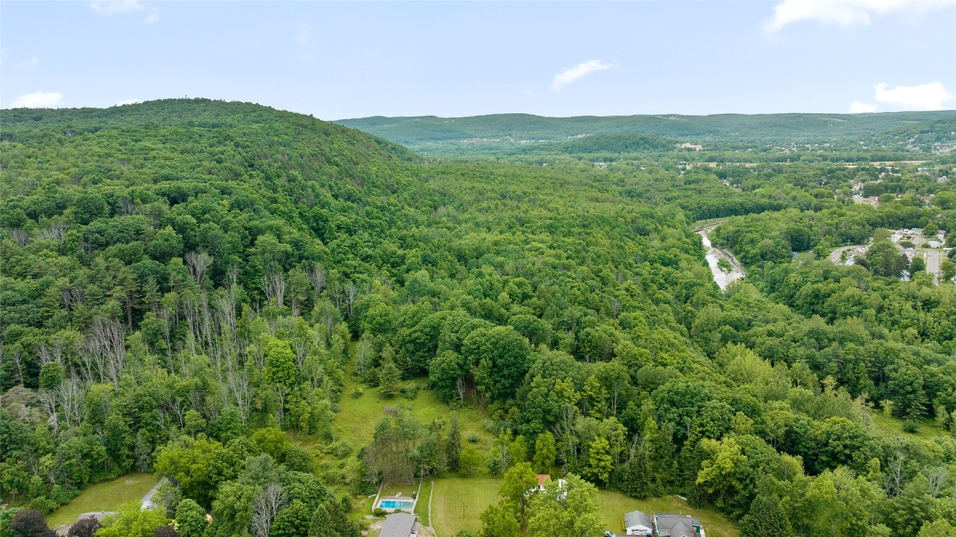 342 Echo Road, Vestal, New York image 16