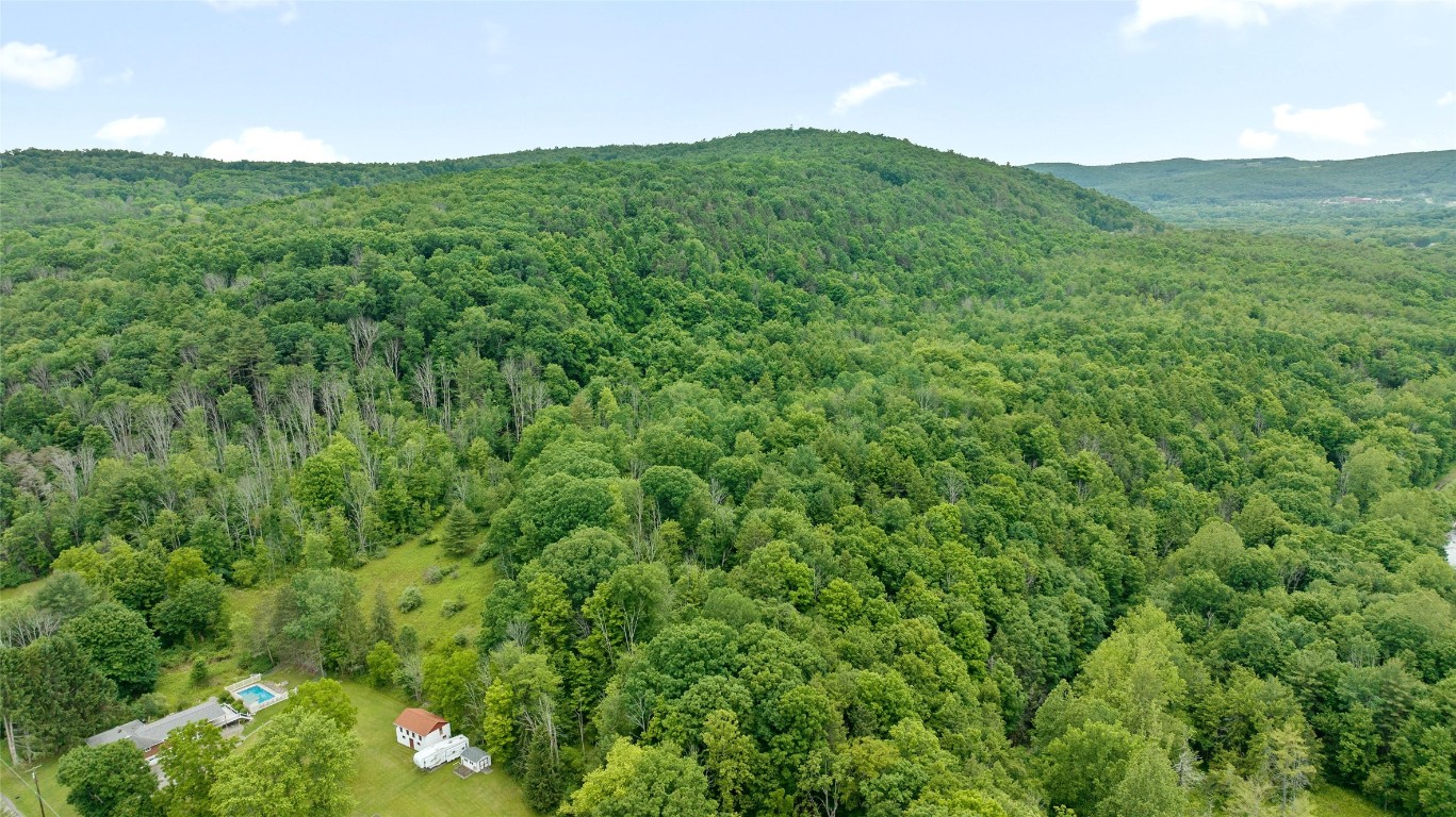 342 Echo Road, Vestal, New York image 17