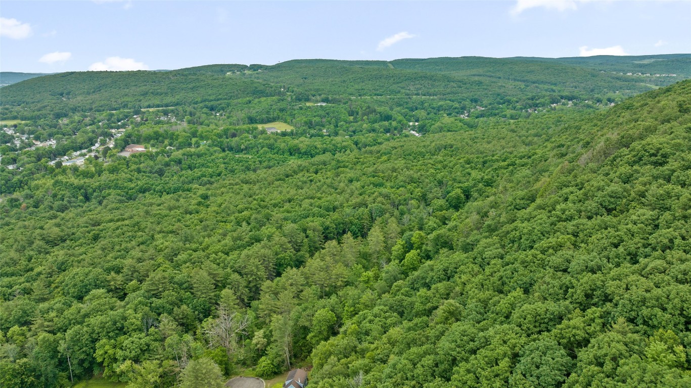 342 Echo Road, Vestal, New York image 10