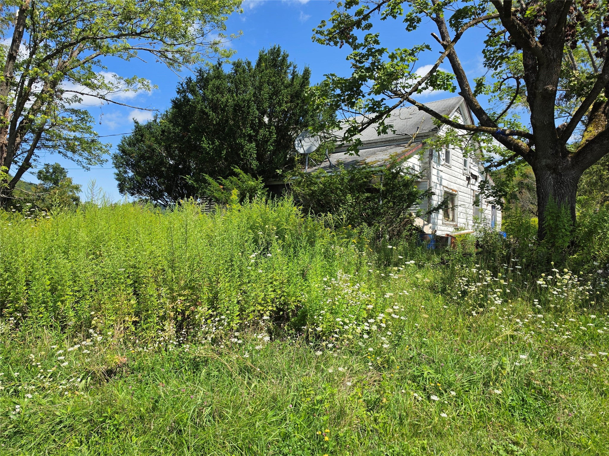 294 Old Plank Road - Photo 2
