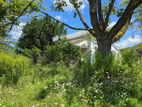 Homes For Sale - 294 Old Plank Road<br/> Broome County, Deposit, NY 13754