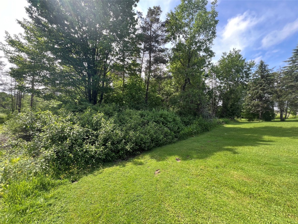 25 Sanitaria Road, Binghamton, New York image 44