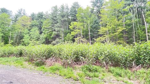 Vacant Land For Sale - 33 E Maine Road<br/> Johnson City, NY 13790