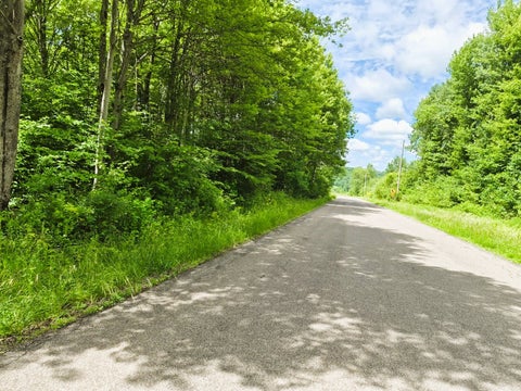 Vacant Land For Sale - 6024 Mcfarlane Road<br/> Cortland County, Cincinnatus, NY 13040