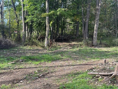 Vacant Land For Sale - 44 & 48 Gaf Lake Road<br/> Windsor, NY 13865