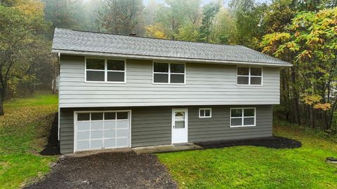 124 Cornell Hollow Road Endicott NY 13760