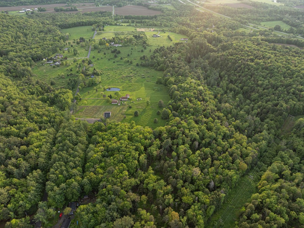 223 Perry Road, Nineveh, New York image 2