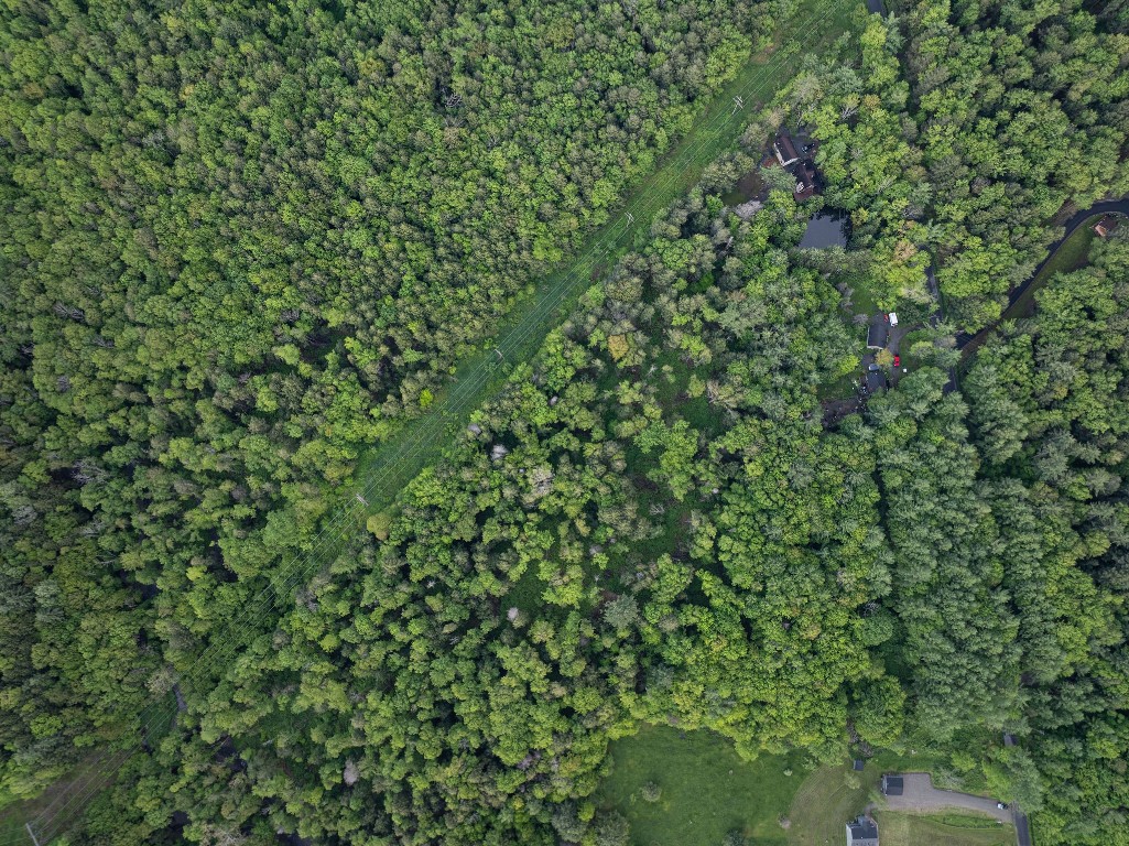 223 Perry Road, Nineveh, New York image 11
