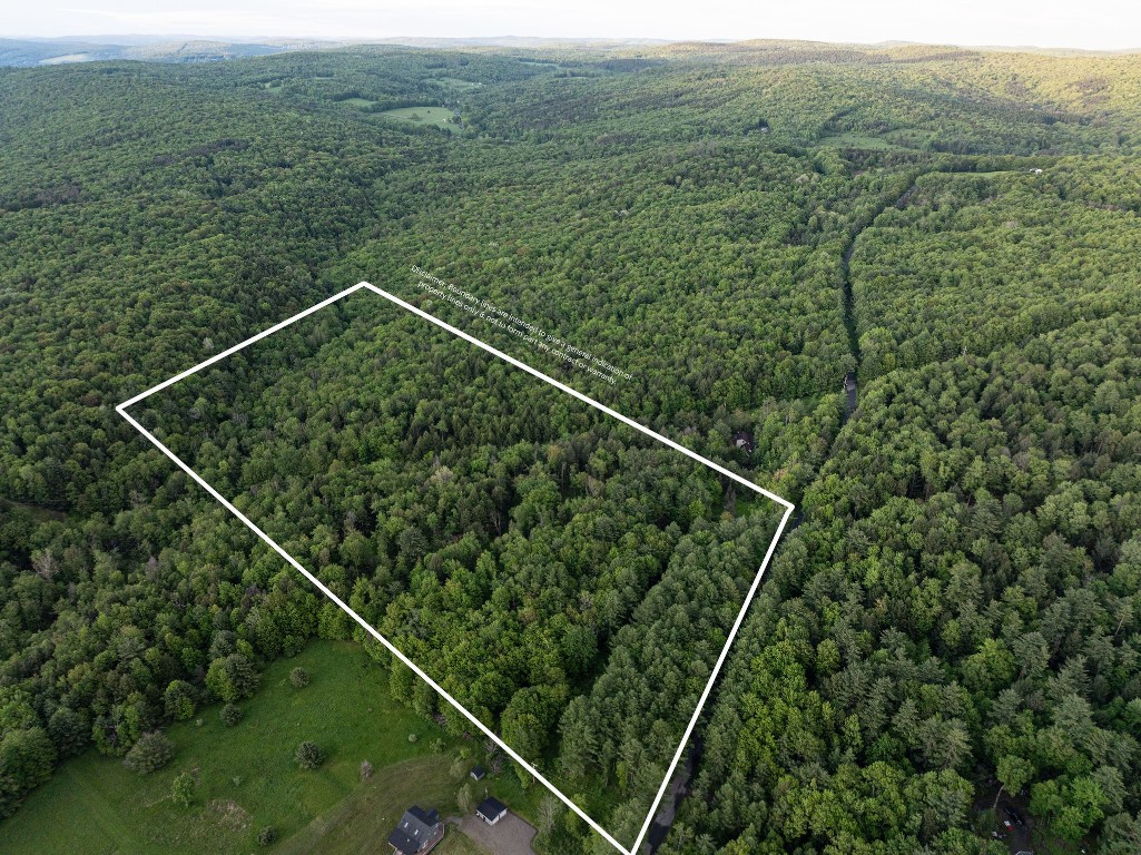 223 Perry Road, Nineveh, New York image 1