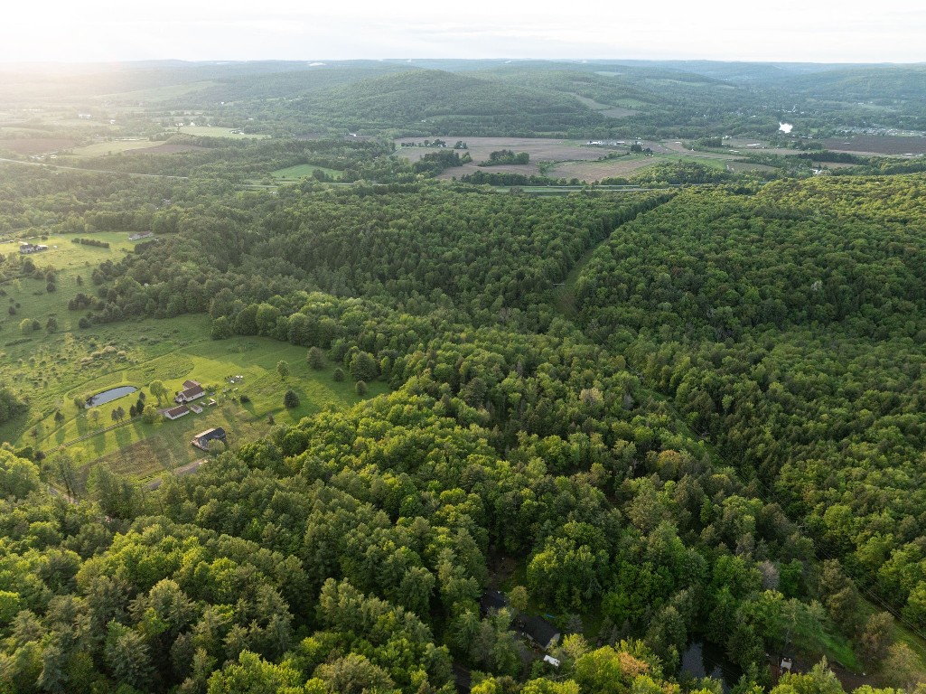 223 Perry Road, Nineveh, New York image 3