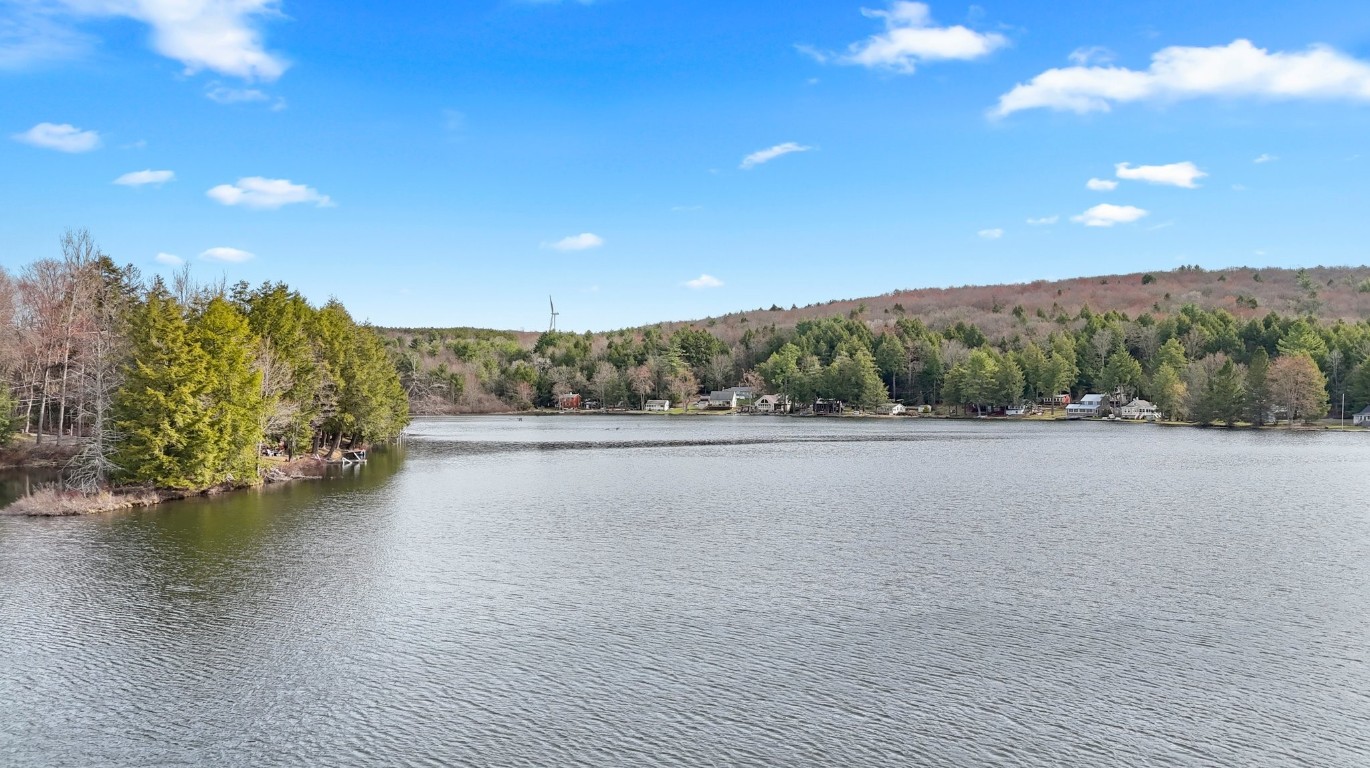 10 Deer Road, Windsor, New York image 3