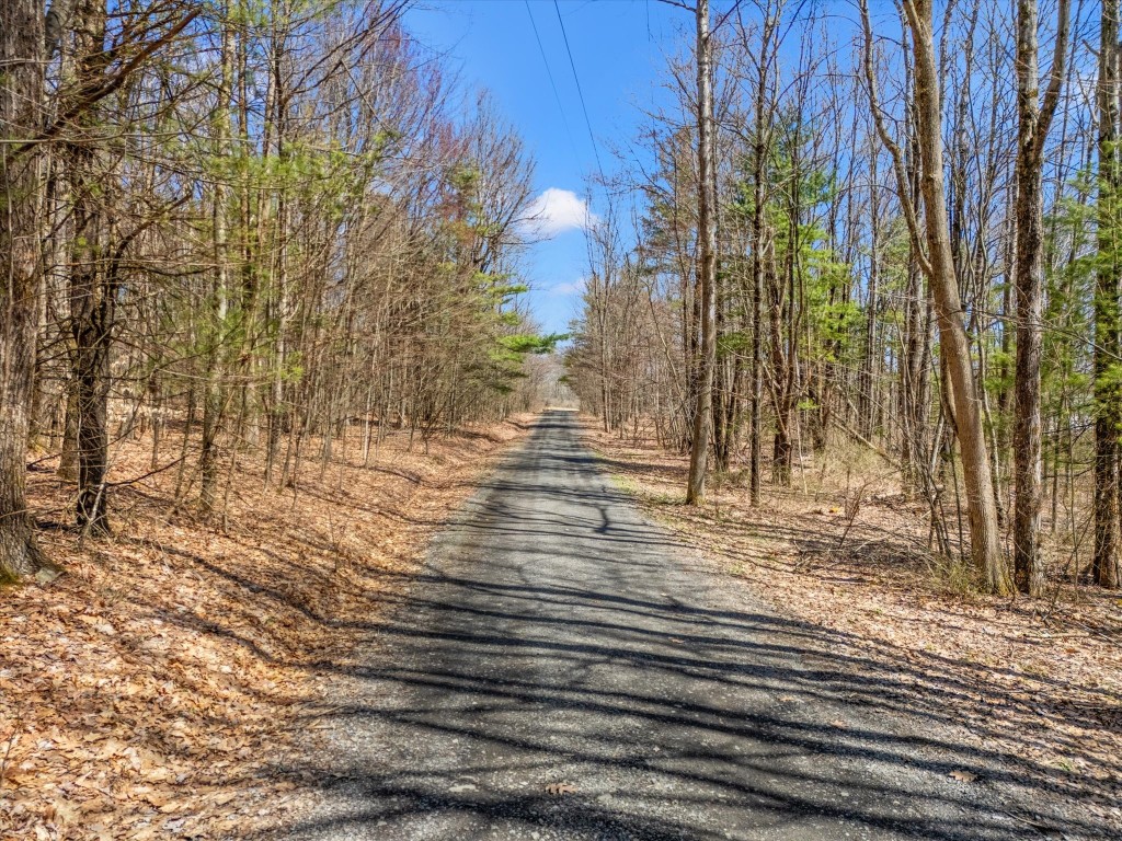 371 Hunt Road, Port Crane, New York image 10