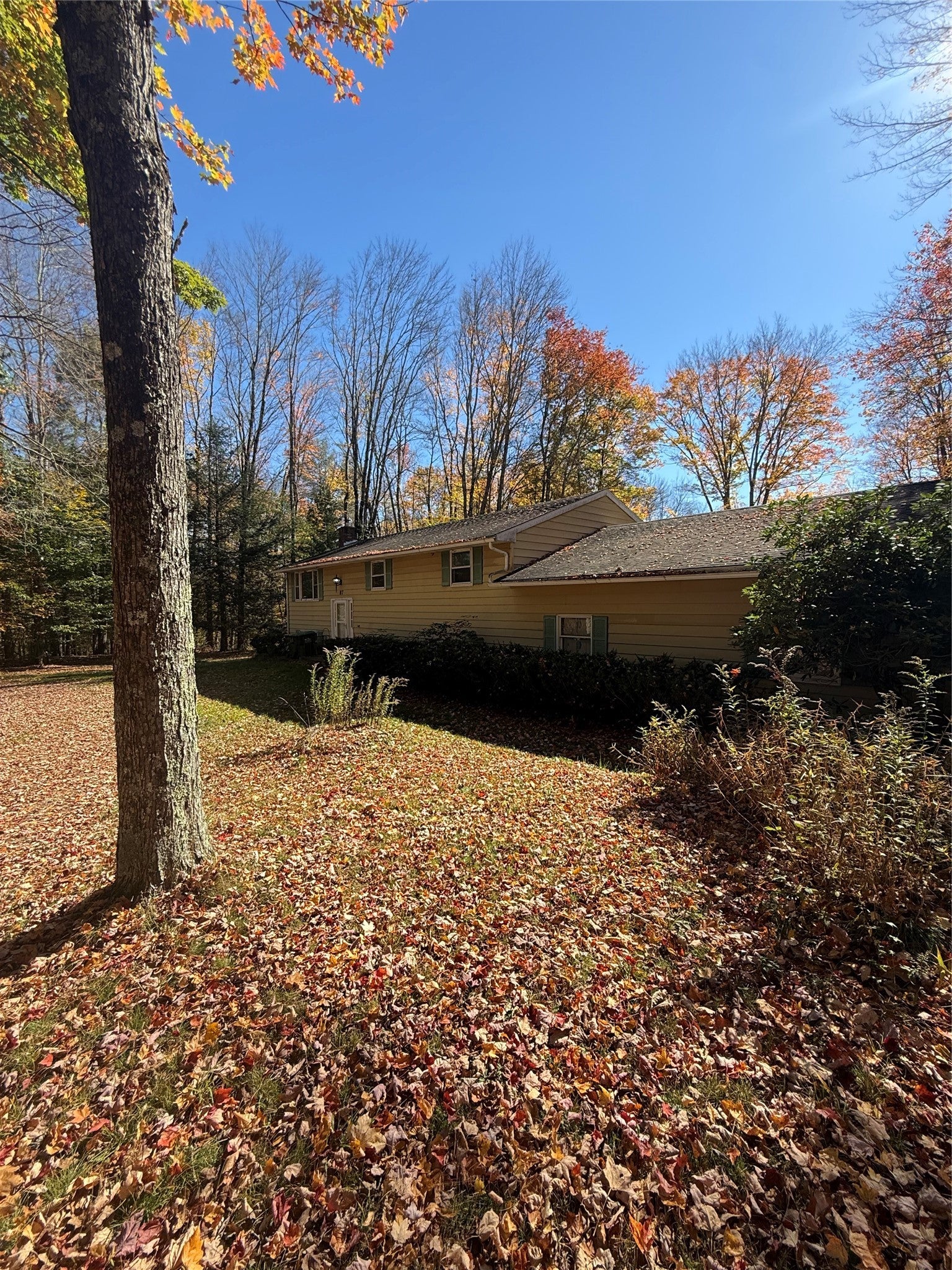 87 Baker Rd