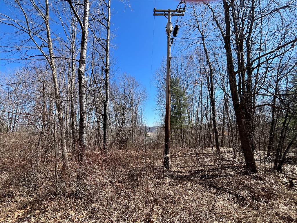26 Hawk Road, Windsor, New York image 7