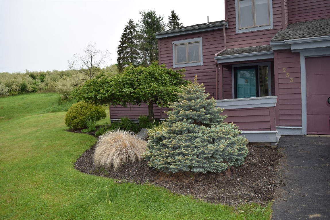 233 Woodgate Lane, Vestal, New York image 3