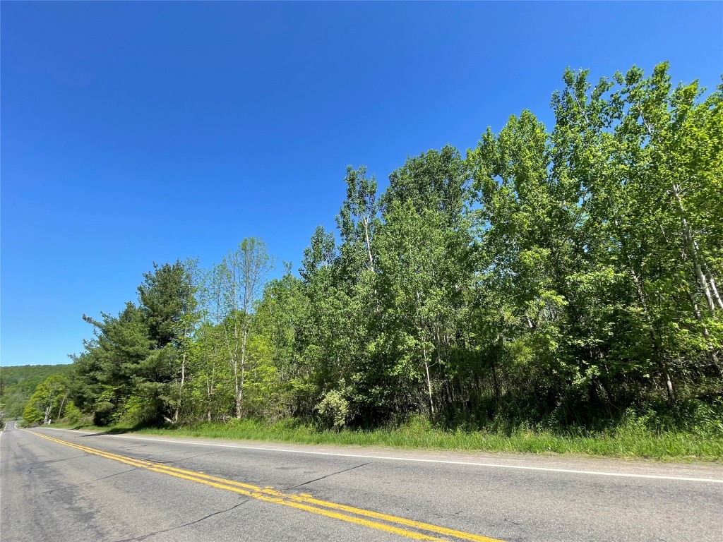 3563 & 3575 Saddlemire Rd, Binghamton, New York image 3