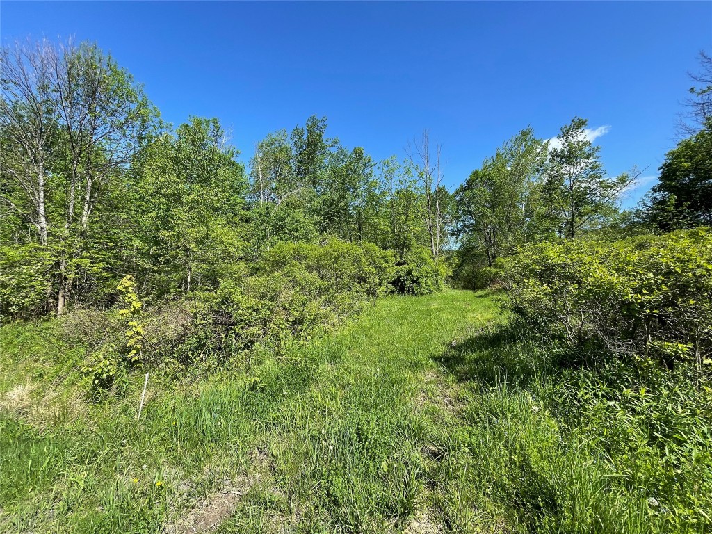 3563 & 3575 Saddlemire Rd, Binghamton, New York image 1