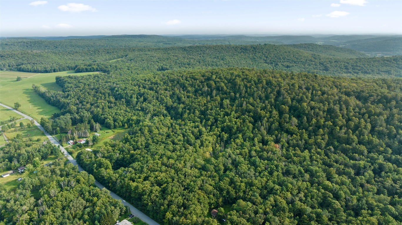 Quaker Road, BRACKNEY, Pennsylvania image 7