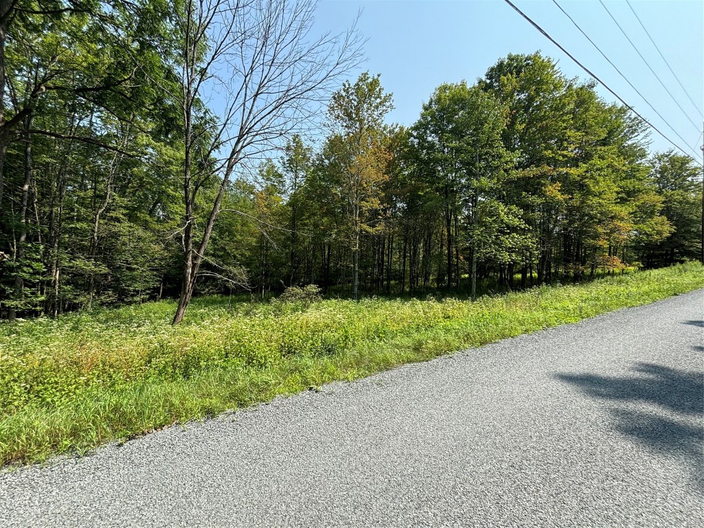 Quaker Road, BRACKNEY, Pennsylvania image 15