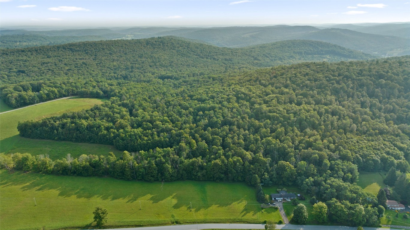 Quaker Road, BRACKNEY, Pennsylvania image 5