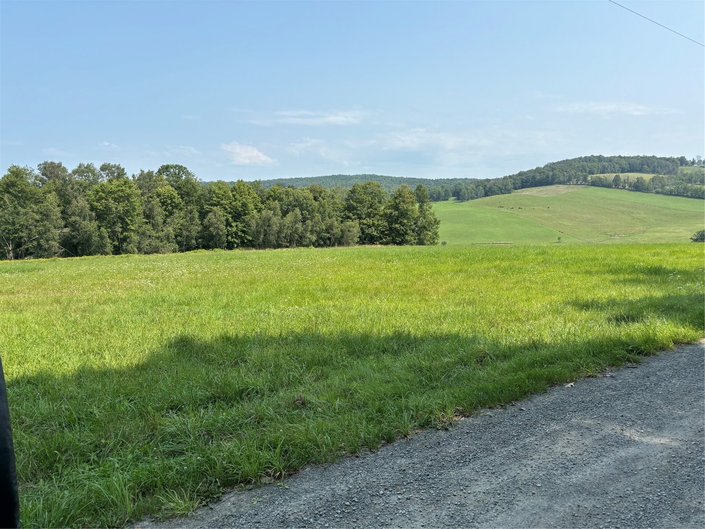 Quaker Road, BRACKNEY, Pennsylvania image 11