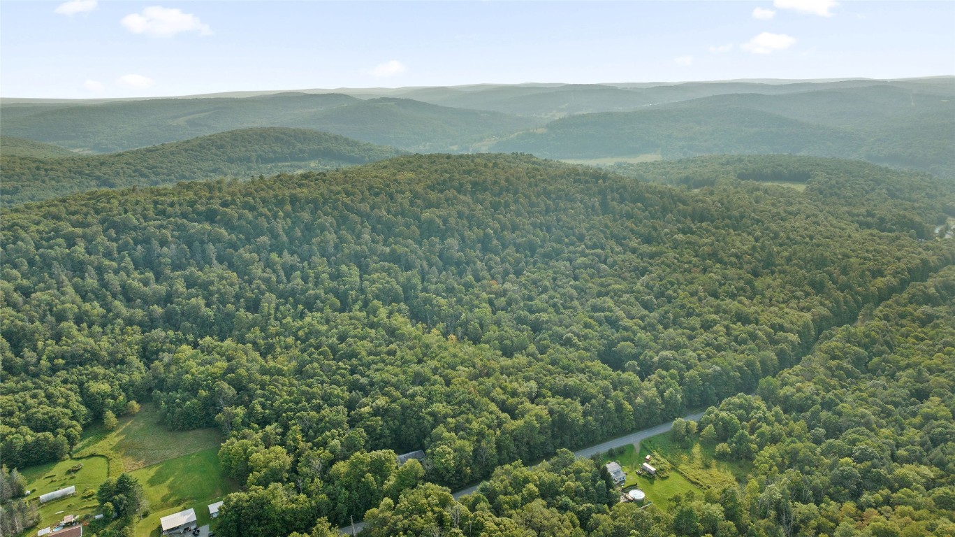 Quaker Road, BRACKNEY, Pennsylvania image 6