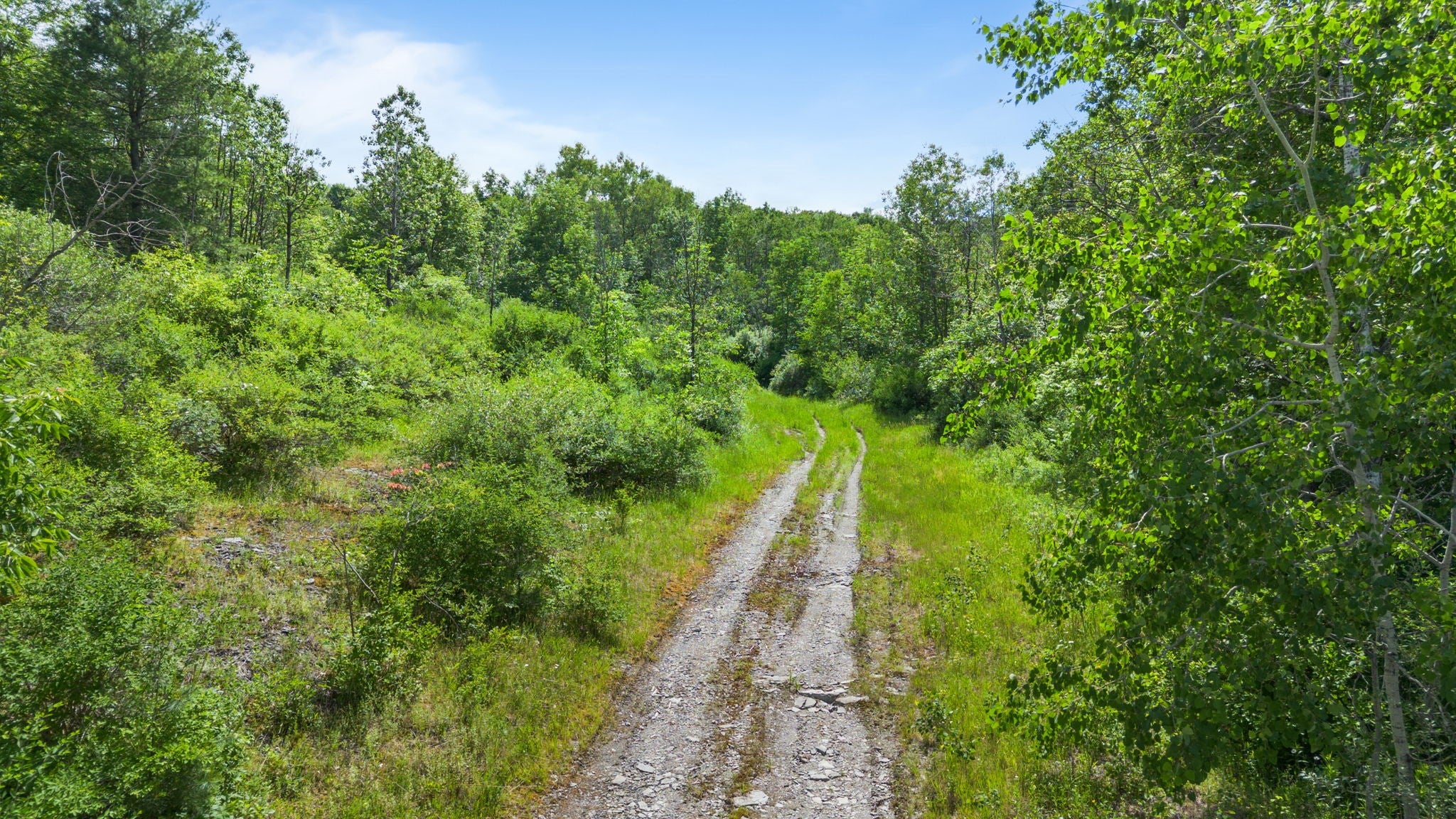 3492-3494 State Route 206 - Photo 4