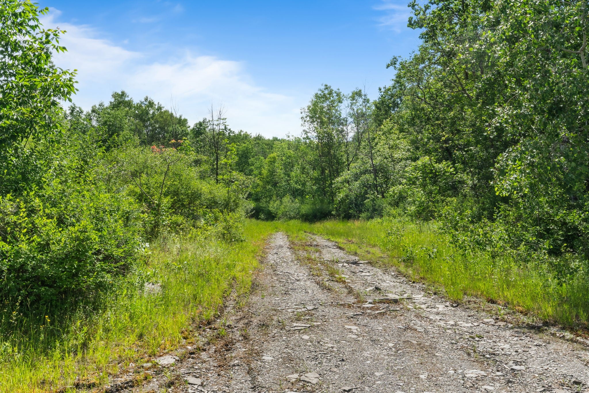 3492-3494 State Route 206 - Photo 3